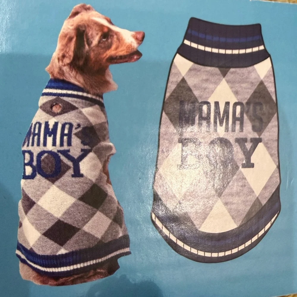 Vibrant stylish argyle